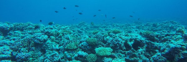 scubasanchez Profile Banner