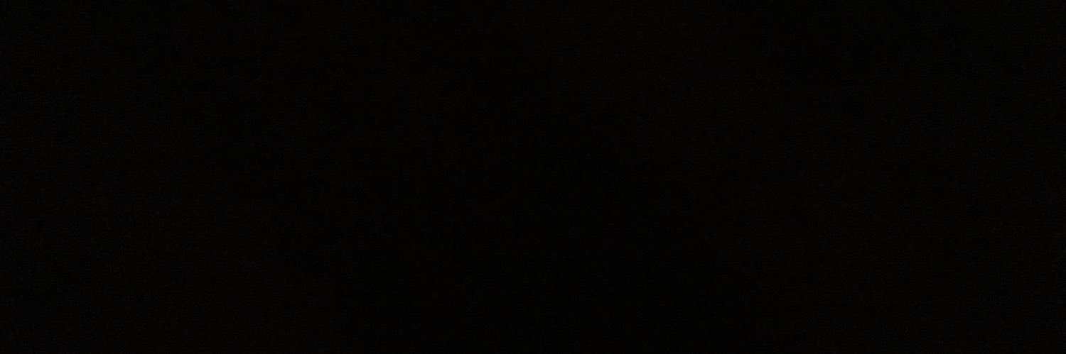 L🪽's banner