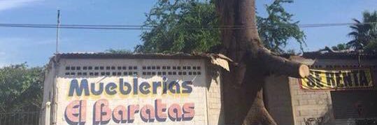 Out of Context Culiacán banner