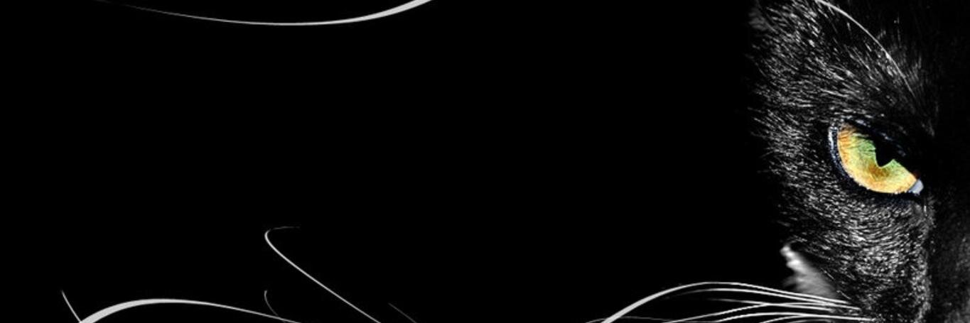 ferhatkarakas's profile banner image