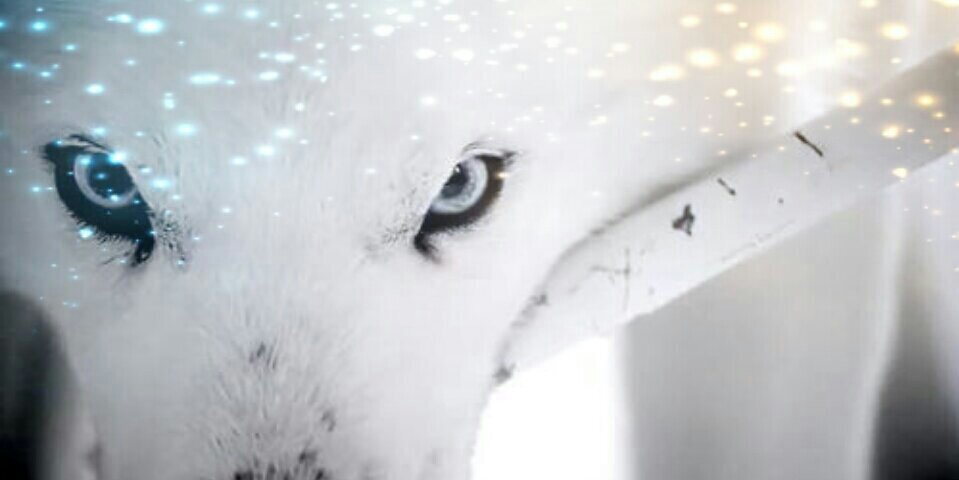 taniader's profile banner image