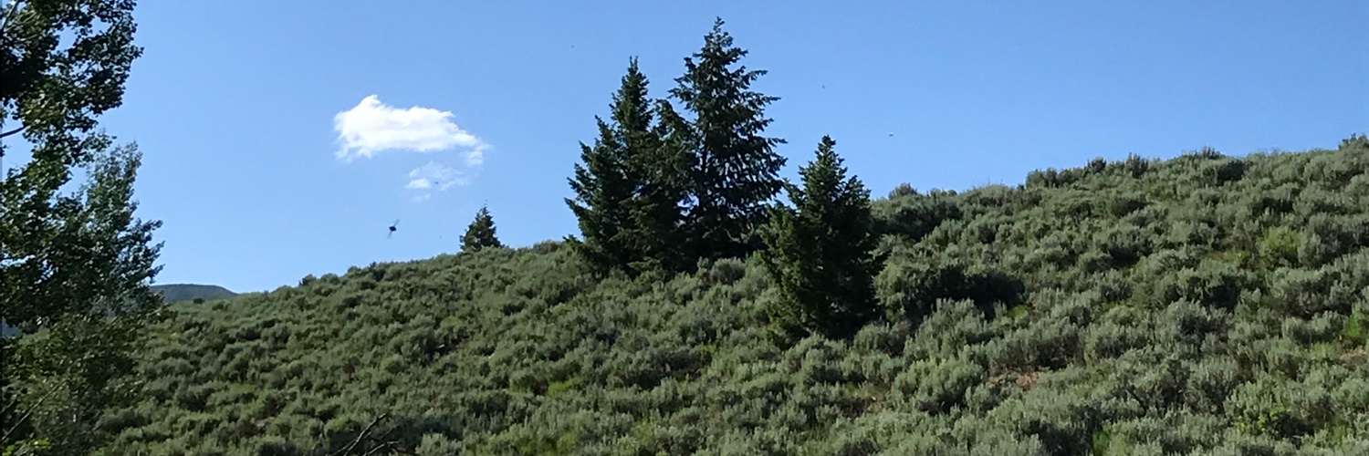 Robert Blakeley banner