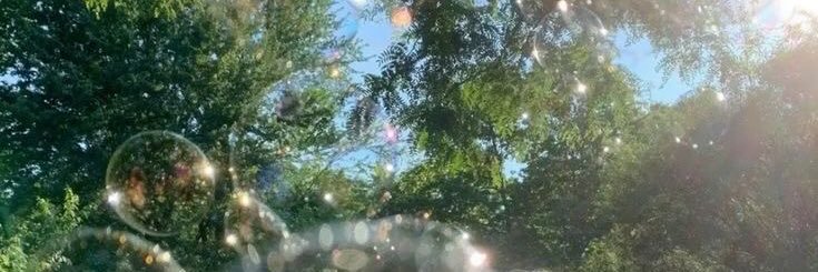 biancaaabbr's profile banner image