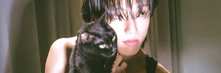 ‘gabbis. banner