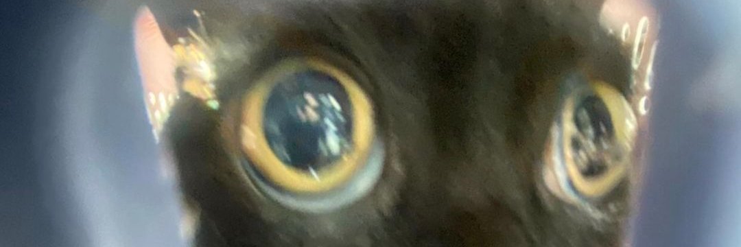 kantuss1's profile banner image