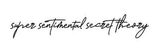 SuperSentimental Secret Theory banner