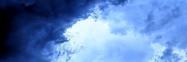 AlexeiJackal Profile Banner