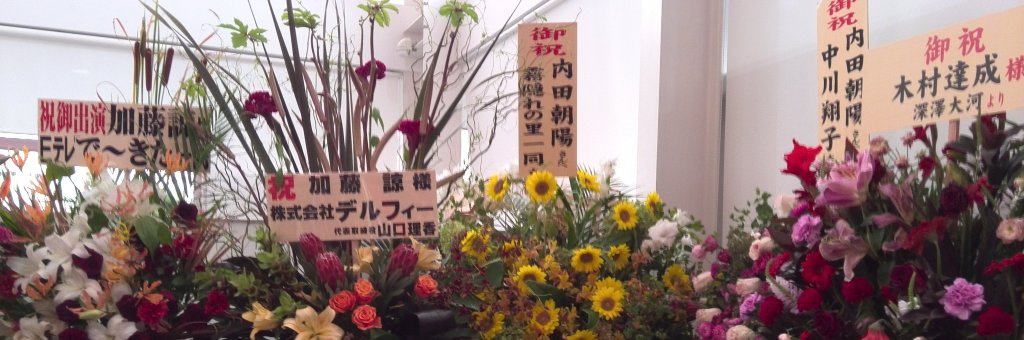 情報整理中のｸﾏｰ banner