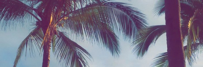 ElliePowell16's profile banner image