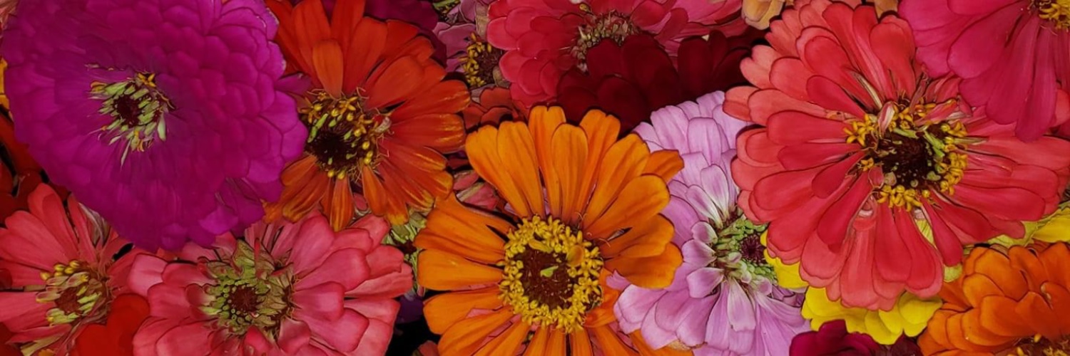 CsTrussell's profile banner image