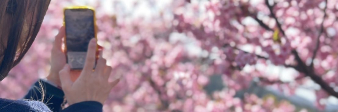 りちぇあ様？🩵🪼 banner