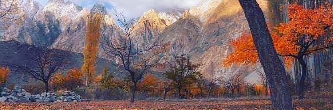 bibi_izzat's profile banner image