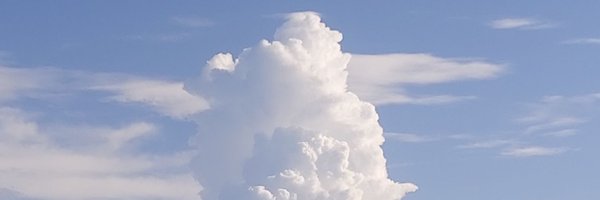 Bells_01 Profile Banner