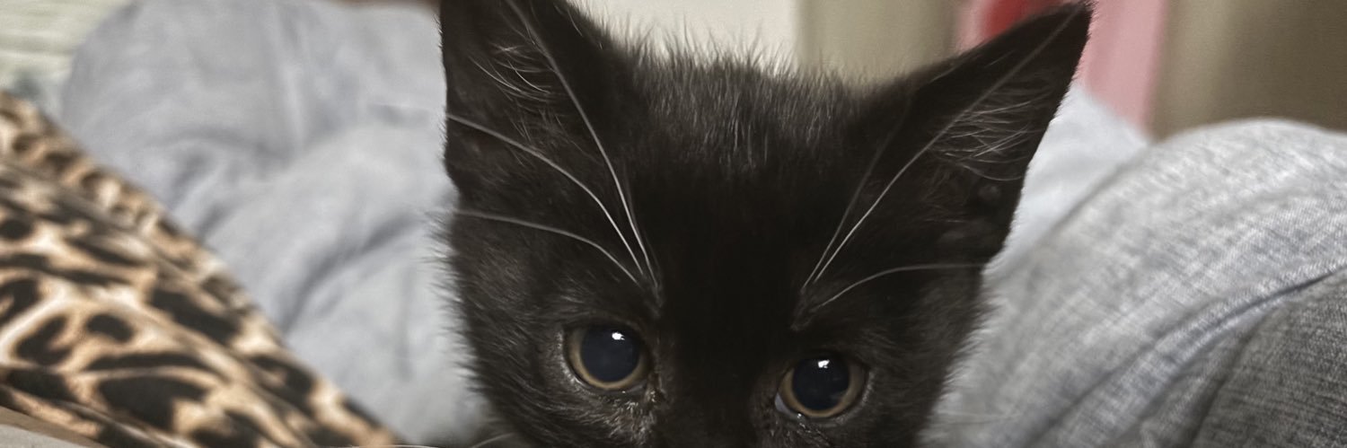 Flor Manjarrez banner