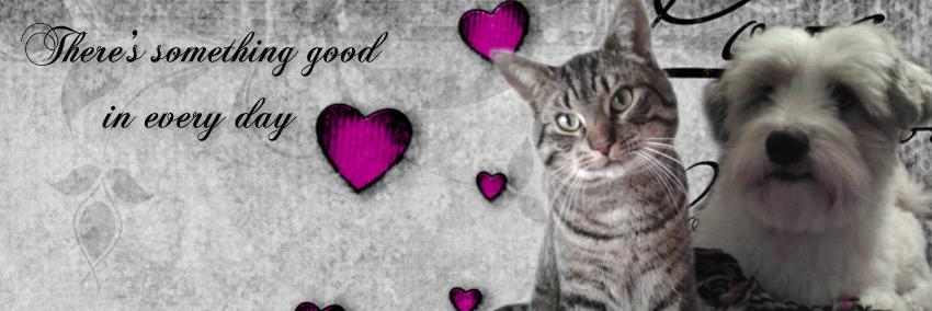 Joriekevdpol's profile banner image