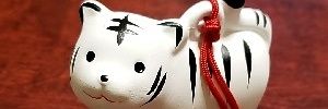 ma_cya0406's profile banner image