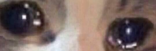 toothphantom's profile banner image