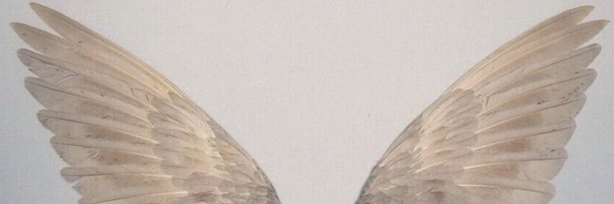 __samooy's profile banner image