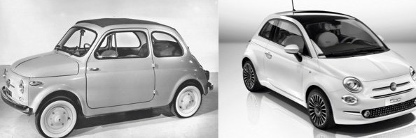 Bumper Evolution banner