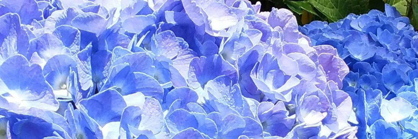 Haruno🫶0416英最高裁判決文を読め💯 banner