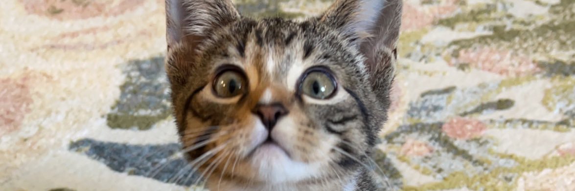 Stacy Dunagan banner