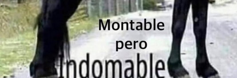 gabyyyvidal's profile banner image