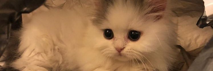 imasee_'s profile banner image