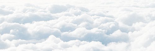 Ella Parks banner