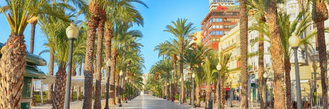 Marian Michalovský banner