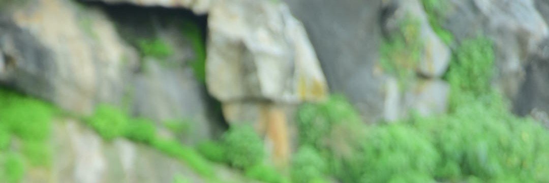 SunilDadhich30's profile banner image