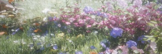 Rian 🌟 Joki Lads || banner