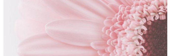 Toxic Church Girl 😈 banner