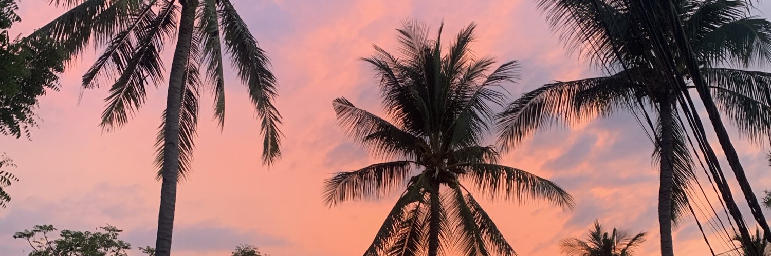laurfromluna's profile banner image