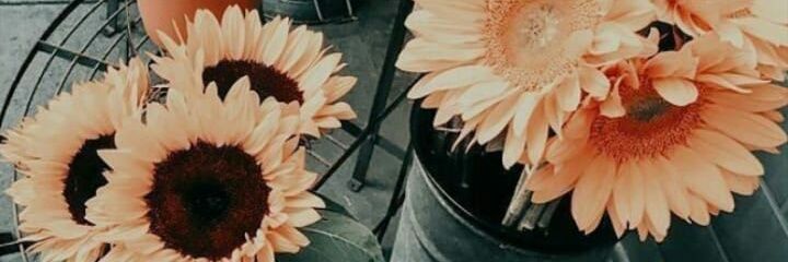LuizzaMachado's profile banner image