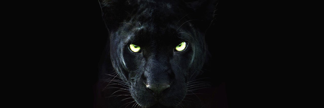 Solomon Burney banner