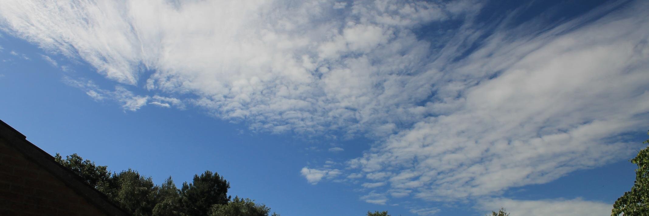 weevie87's profile banner image