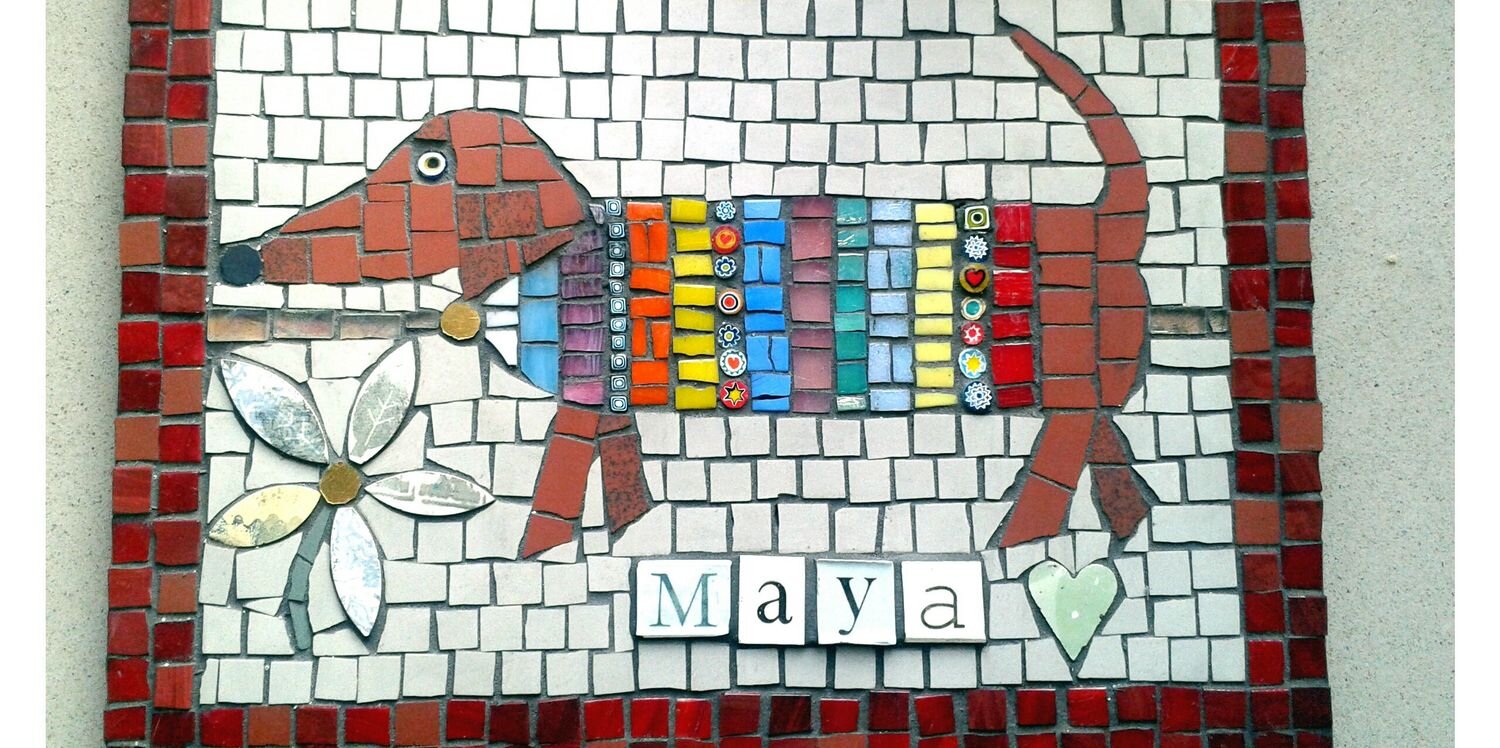 MayaTeckel's profile banner image