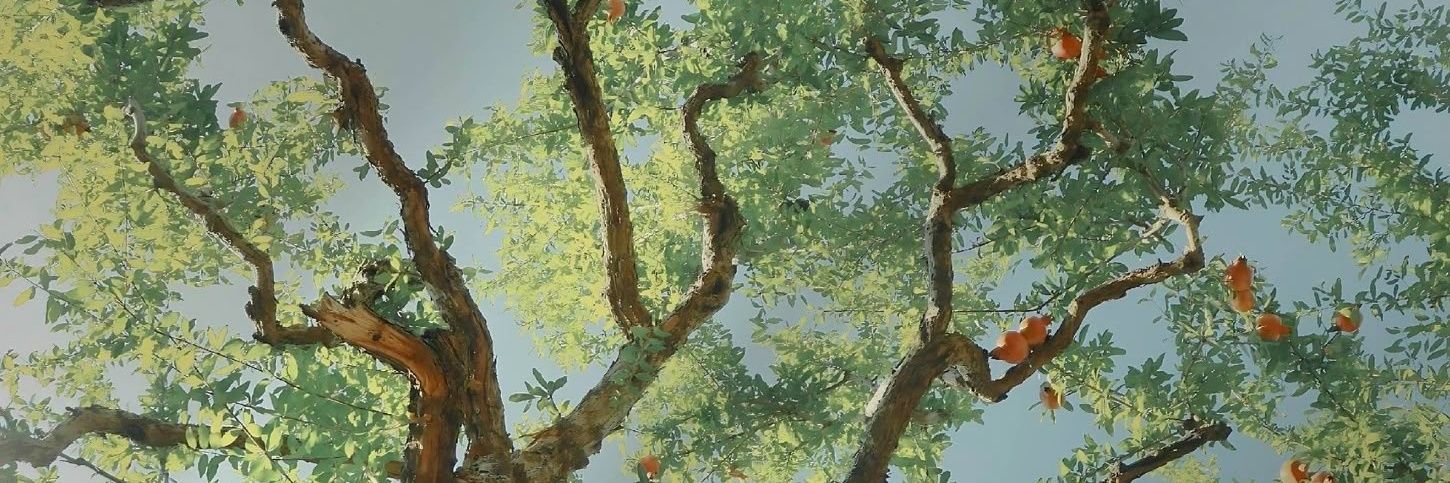 camuidk's profile banner image