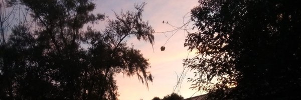 ShReKisHeCk Profile Banner