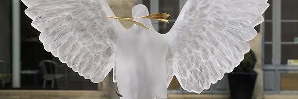 aiah_dauda's profile banner image
