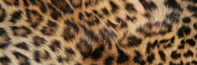 emebenoe's profile banner image