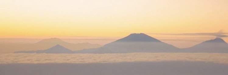 bobaa banner