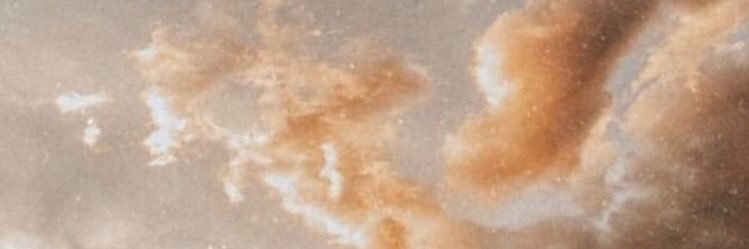 eylulkaplann's profile banner image