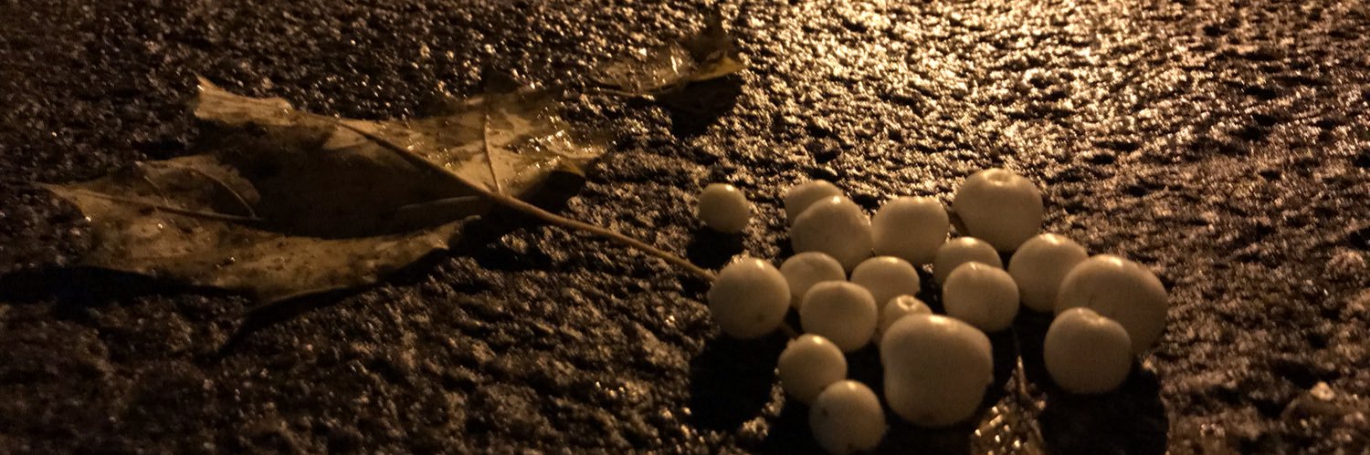 oxfrdcm's profile banner image