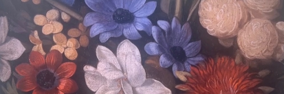 🦋 banner