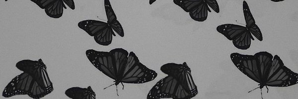 buaLua1 Profile Banner