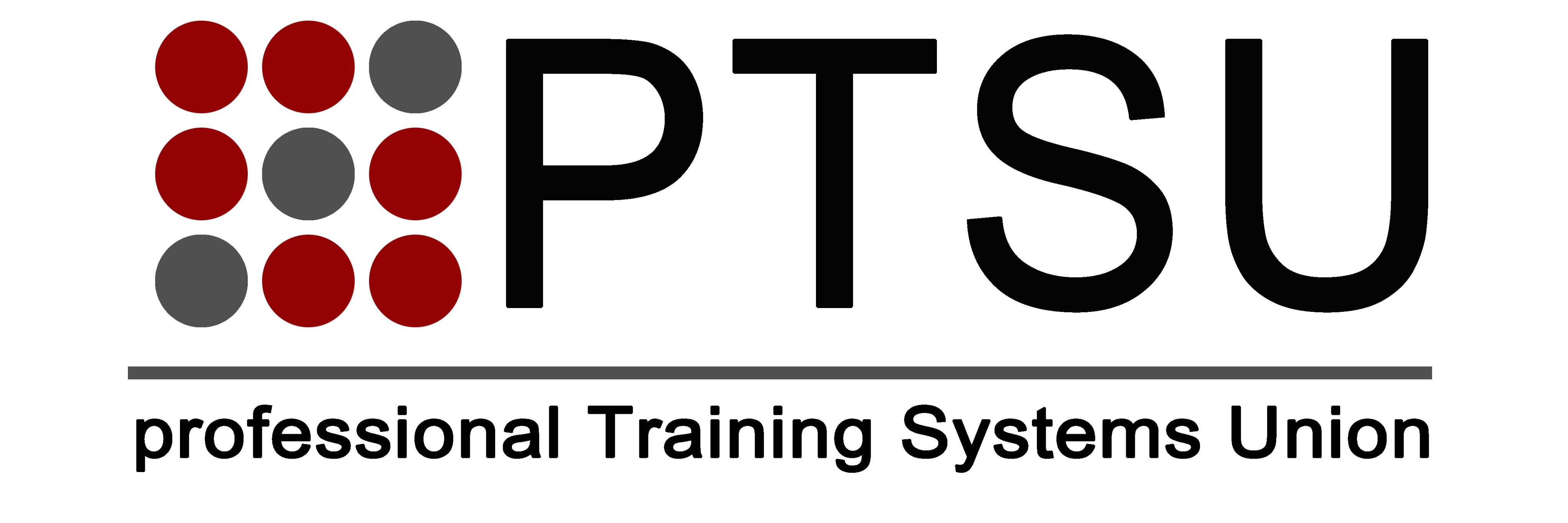 ptsu_co's profile banner image