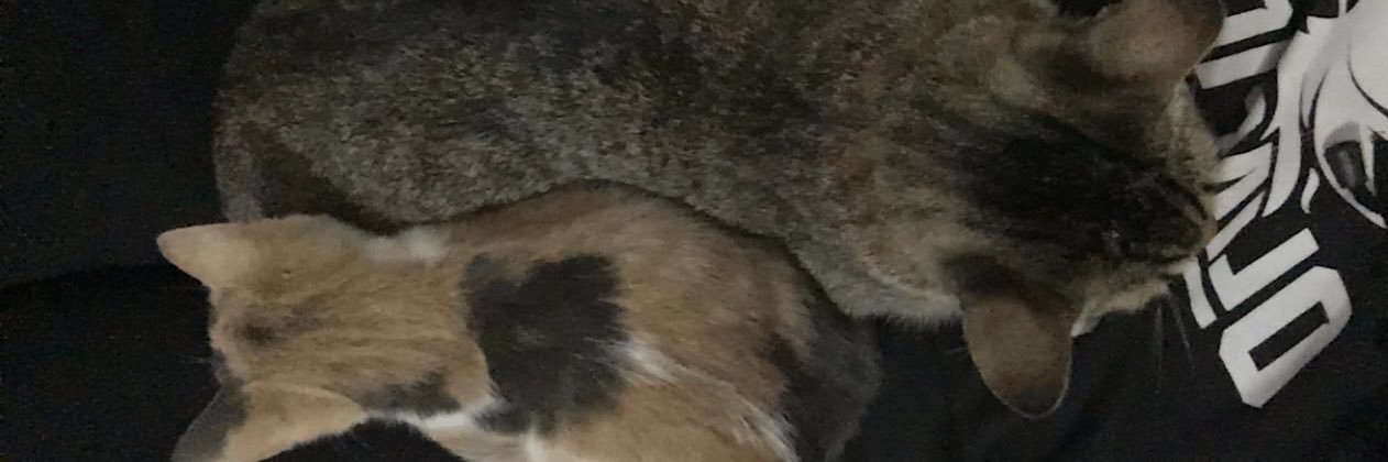 guiroit's profile banner image