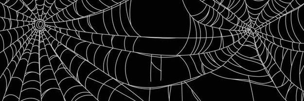 Crappy 🕸️ banner