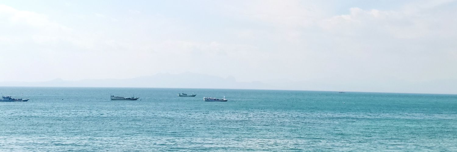 chvrmingx's profile banner image